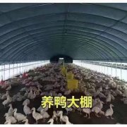 ②区域化技术服务团队：在西南地区建立了本地